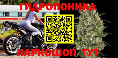 СК Можга