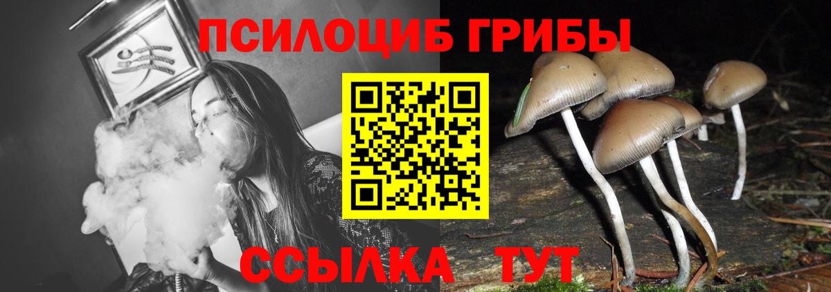 Бугуруслан  Галлюциногенные грибы Cubensis  Вход с VPN 